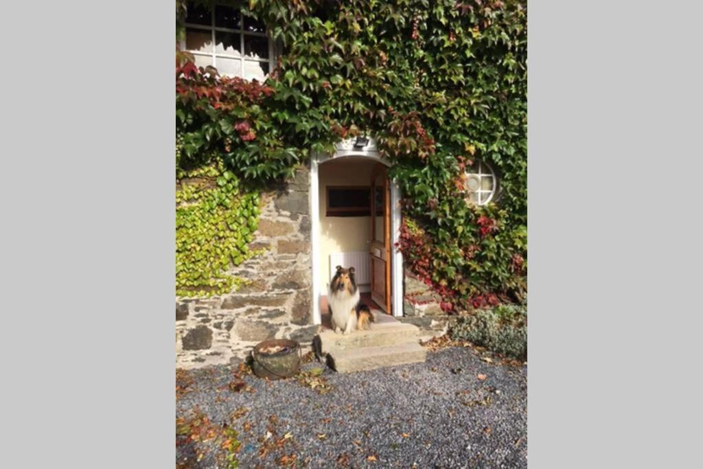 Dromore The Byre .アパートメント エクステリア 写真